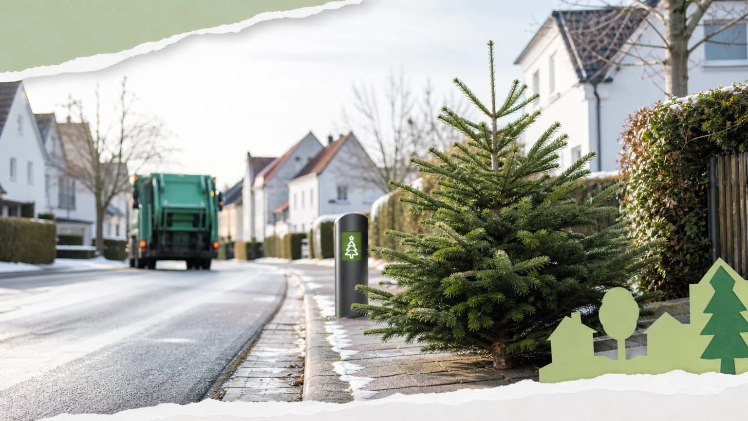 Spannende Neuigkeiten für die Region: Weihnachtsbaum-Wettbewerb, Stadtratssitzung und Jobangebot