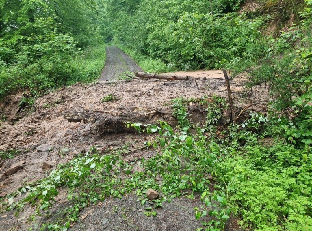 Wichtige Informationen zur bevorstehenden Ratsversammlung